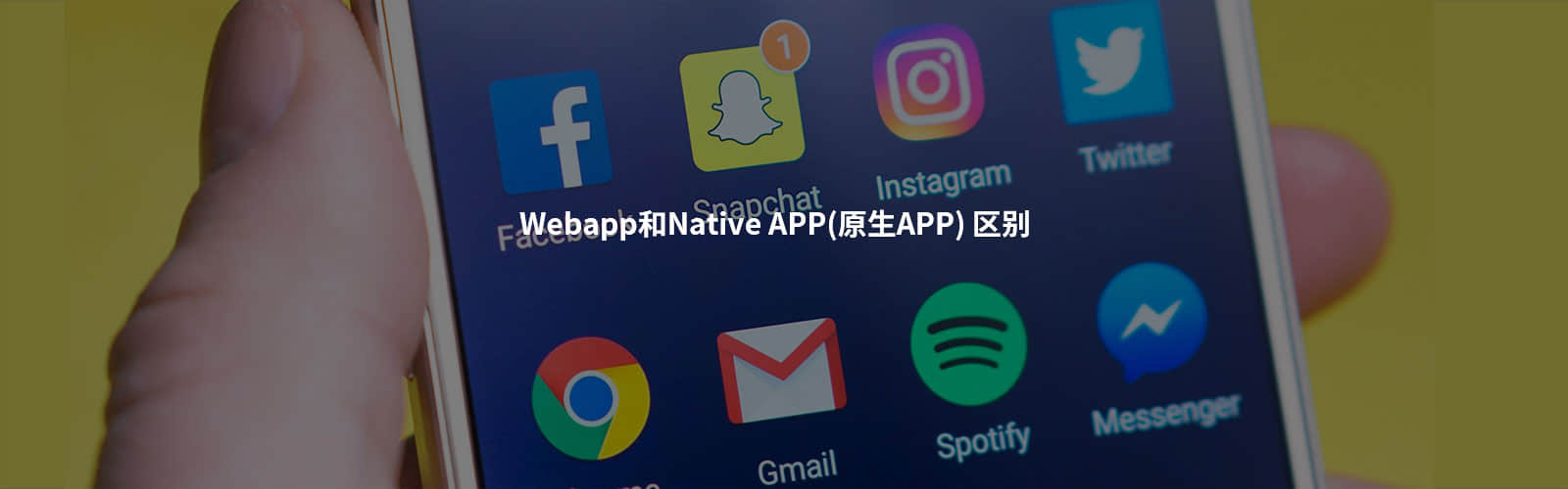 定制化APP